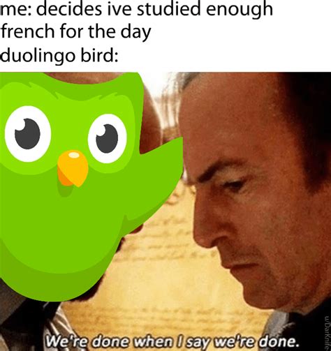 memes de duolingo|duolingo memes evil.